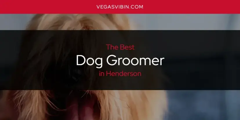 The Absolute Best Dog Groomer in Henderson  [Updated 2024]