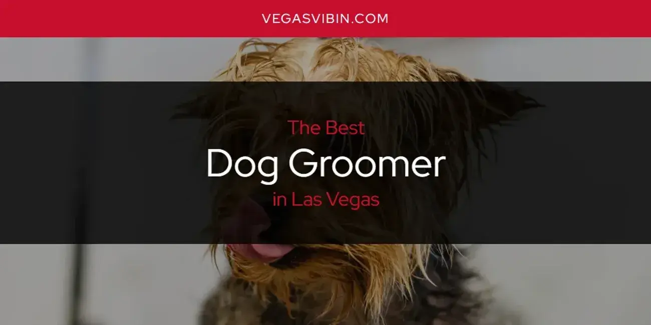The Absolute Best Dog Groomer in Las Vegas  [Updated 2024]