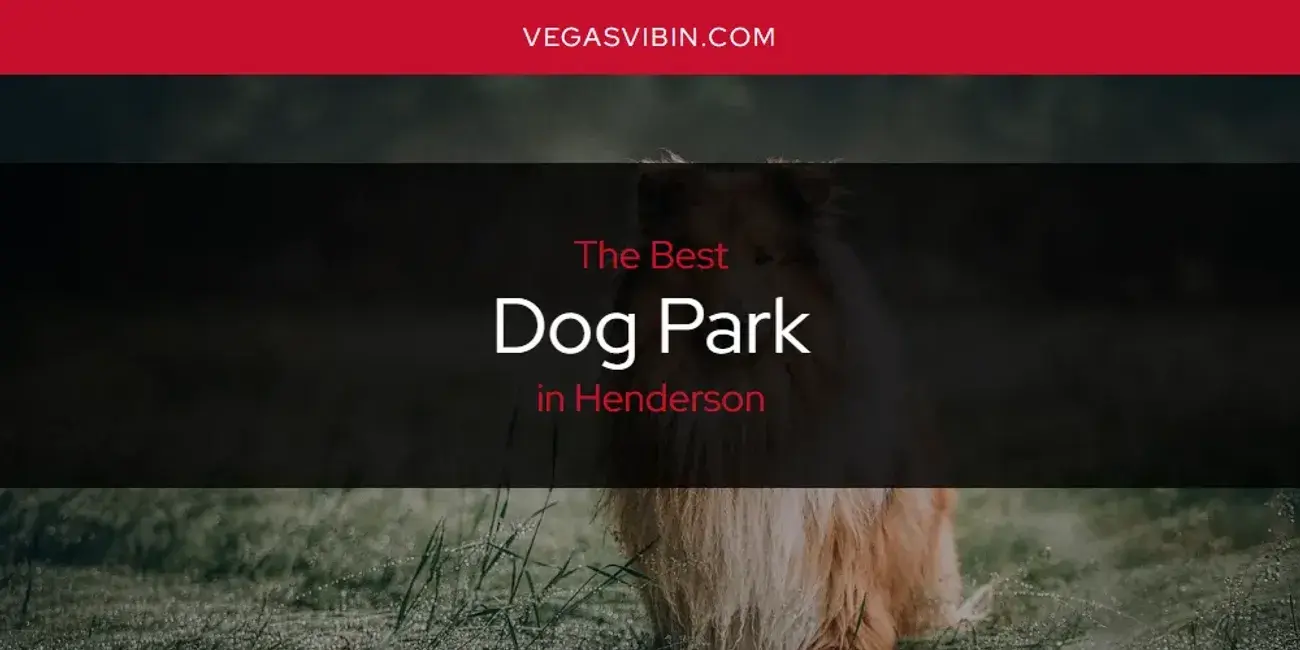 The Absolute Best Dog Park in Henderson  [Updated 2024]