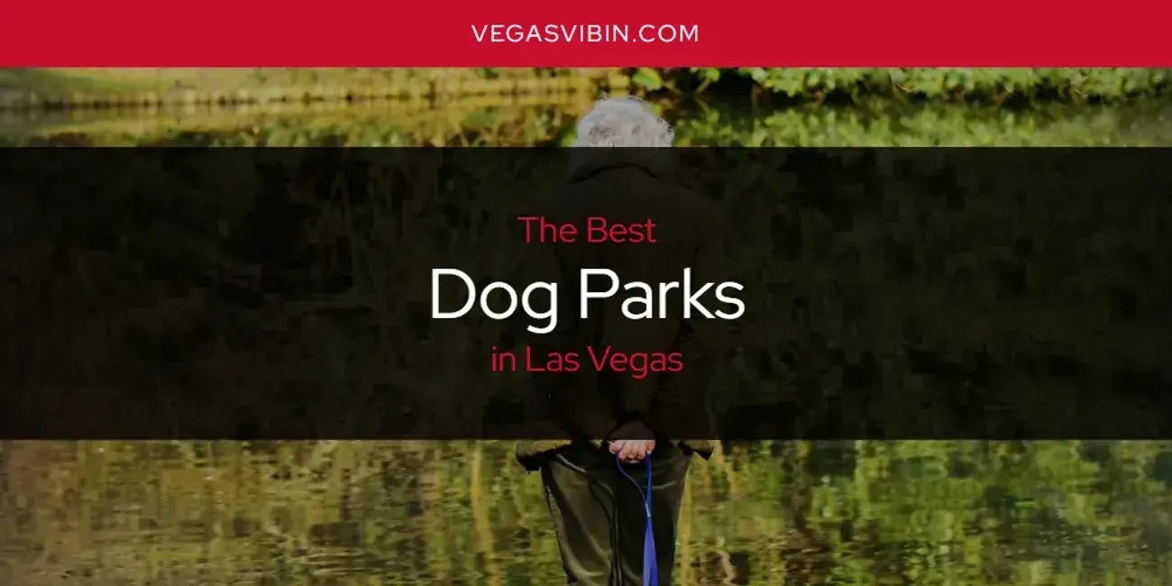 The Absolute Best Dog Parks in Las Vegas  [Updated 2024]