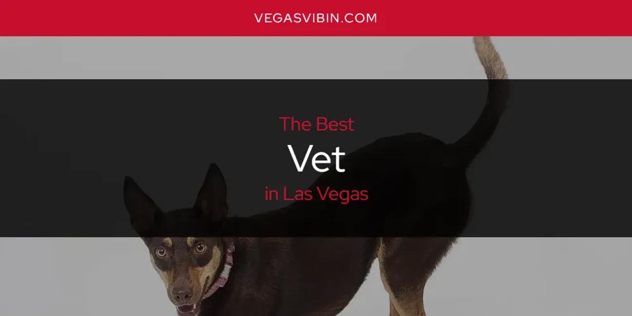 Las Vegas' Best Vet [Updated 2024]