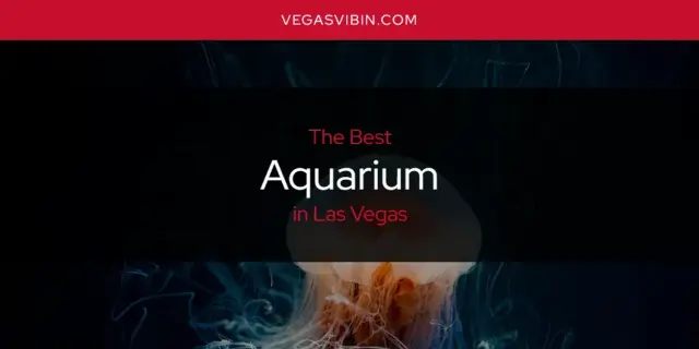 The Absolute Best Aquarium in Las Vegas  [Updated 2024]
