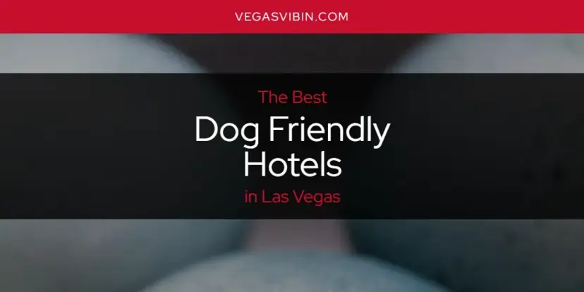 The Absolute Best Dog Friendly Hotels in Las Vegas  [Updated 2024]