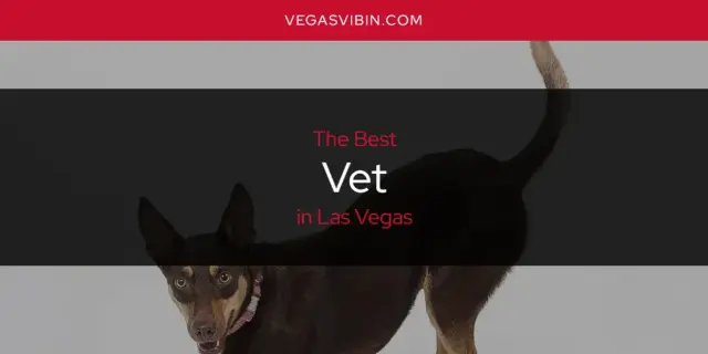Las Vegas' Best Vet [Updated 2024]