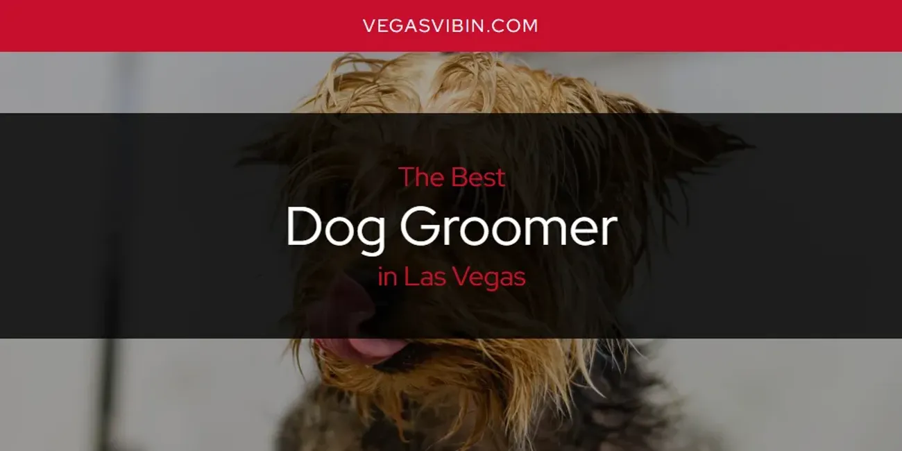 Las Vegas' Best Dog Groomer [Updated 2025]