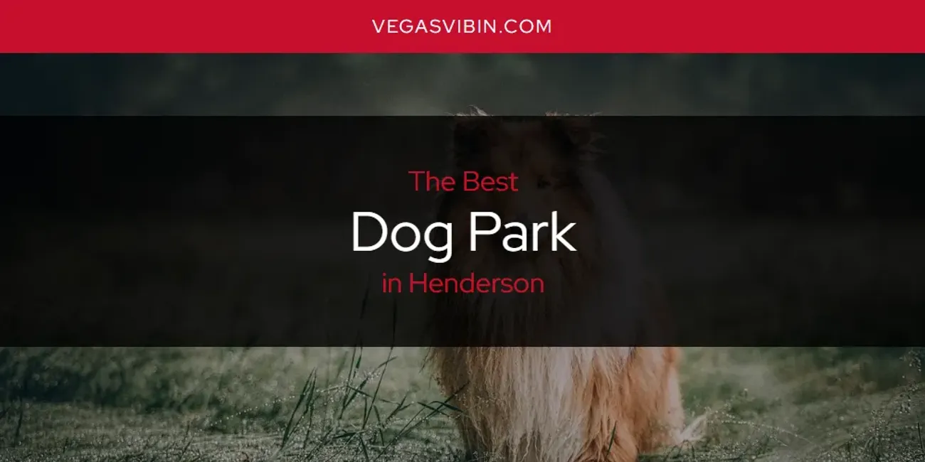 The Absolute Best Dog Park in Henderson  [Updated 2025]