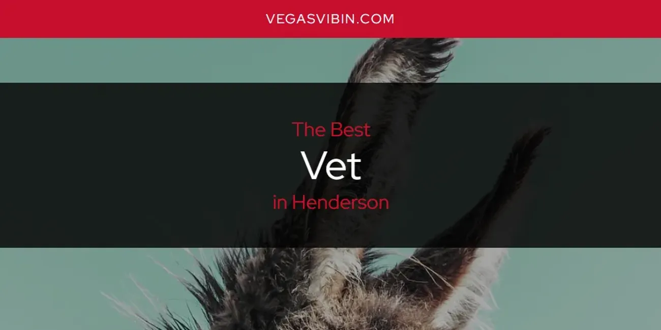 The Absolute Best Vet in Henderson  [Updated 2025]